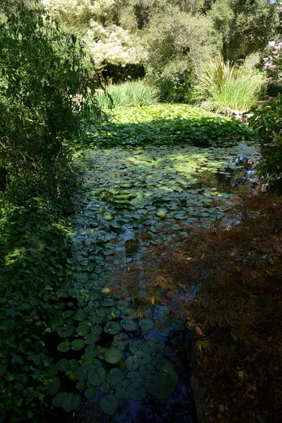 July 2014 - Descanso Gardens